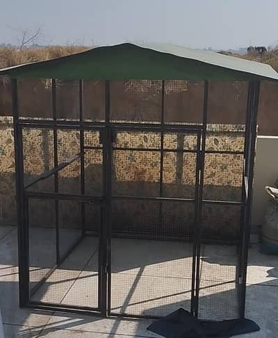 Beautiful Cage for Parrot's