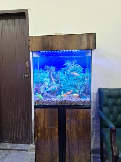 Fish and aquarium for sale 100 LTR Imported pumps and stone