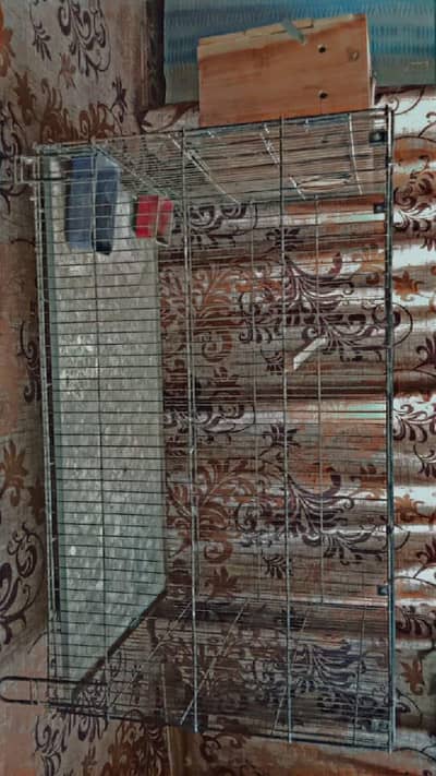 parrots cage