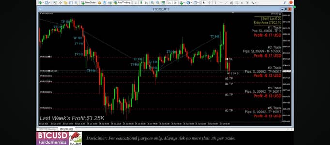 Traders (Male/Female)