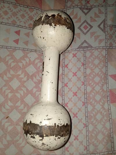 gym fitness accessories