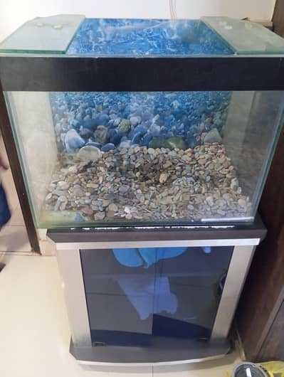 fish aquarium used
