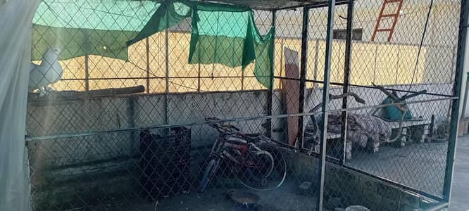 Folding Cage / Shed For Sale