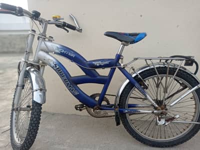 Blue Cycle for sale