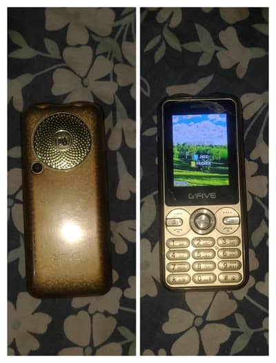 10 by 10 condition beautiful color