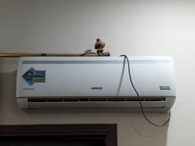 Homage AC 1 one AC-DC