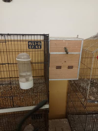 cage for parrots