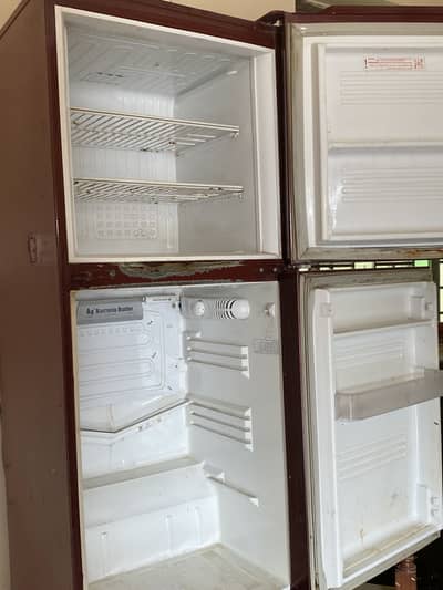 Good condition but used pel company freezer