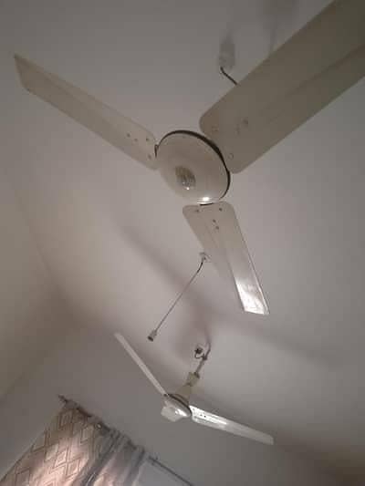 Pak Fan 2 fans mint condition orignal copper guaranted