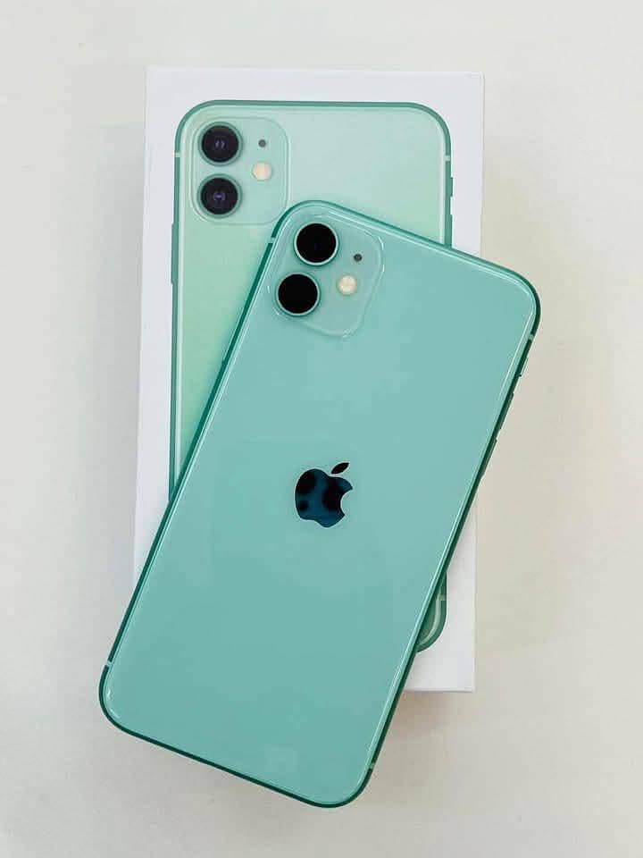 iPhone 11 8