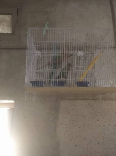 is na do bar breed ke ha