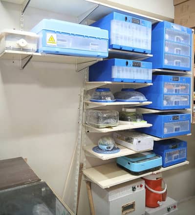 Automatic Incubator Brooder Eggs Hatching Machine