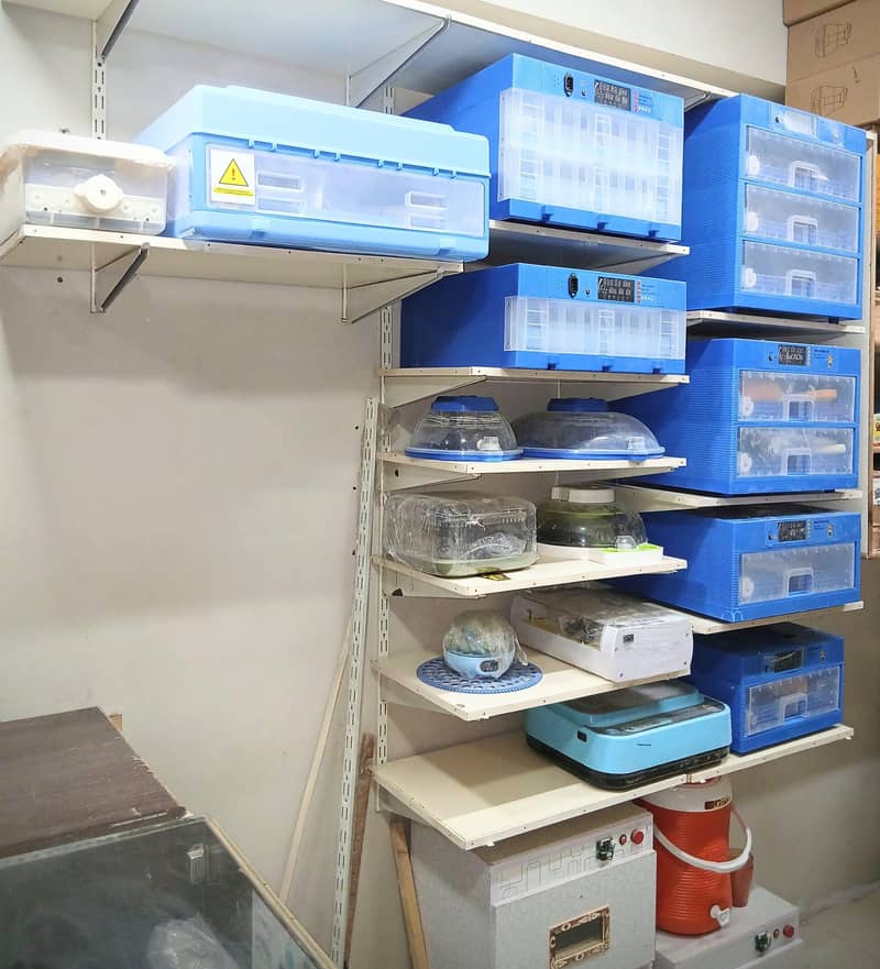 Automatic Incubator Brooder Eggs Hatching Machine 0