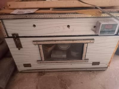 Incubator 50 eggs