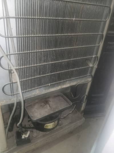 Compressor new Daly ga