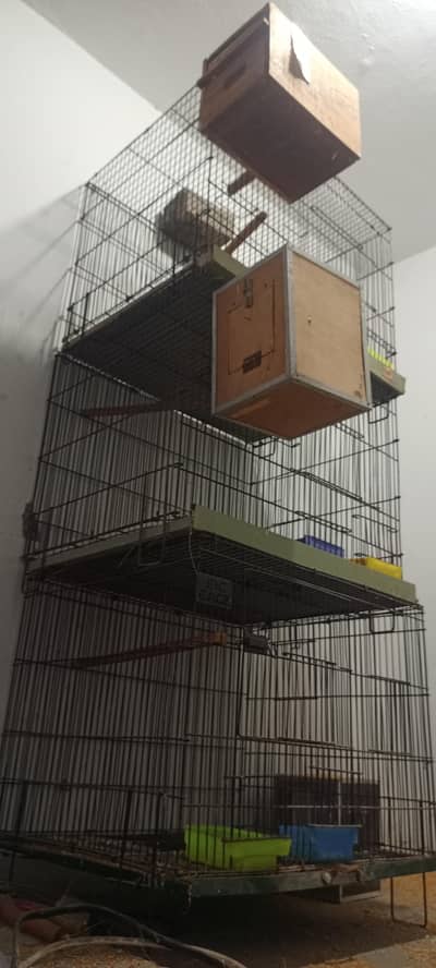 cage for sale
