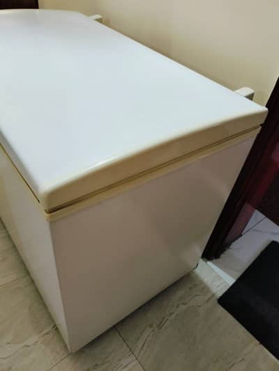 Waves Freezer Very Good