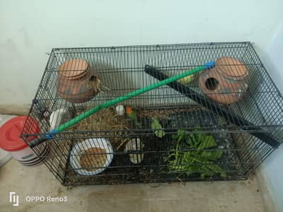 2 pair with one child and cage