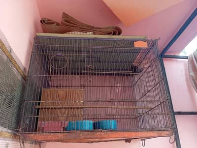 Cage With Box