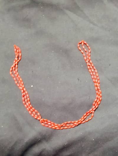 Reasonable Marjan (Coral) for sale