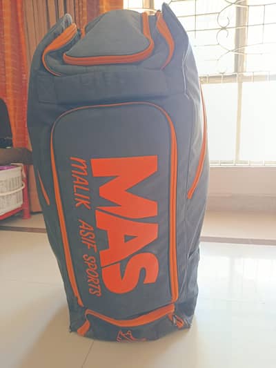 Professional Cricket Kit