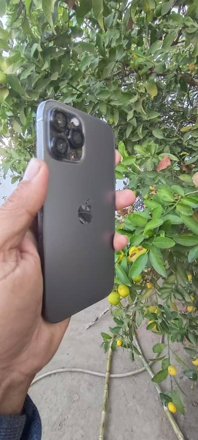 I phone 12 pro max PTA approved exchange new model vivo