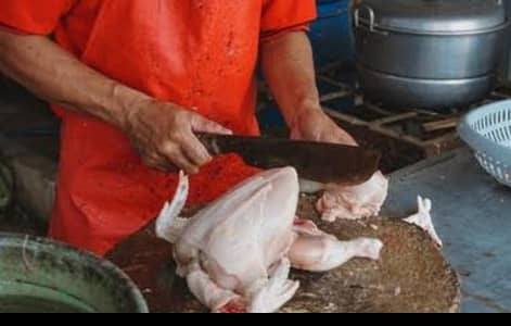 Professional chicken katne k liye chahiye shop par