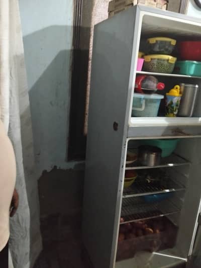 dowlance refrigerated