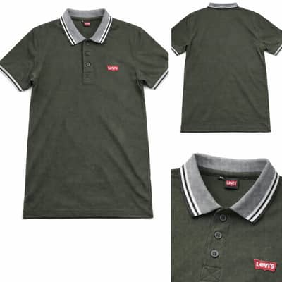 Levi's Men's Housemark Polo Shirt in green with a striped collar.