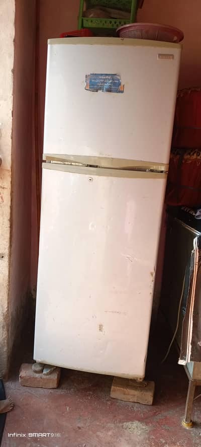 Fridge singer company full ok