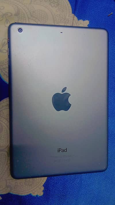 apple ipad mini2