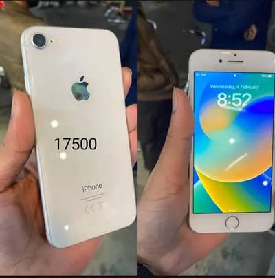 iPhone 8jv 64 03017184767