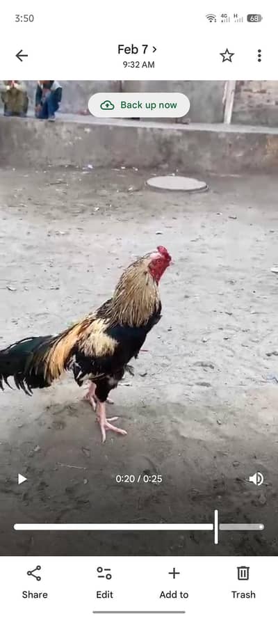 Adnan Aseel 03076748257 with tpni