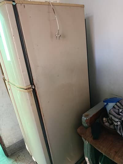 pel medium size fridge