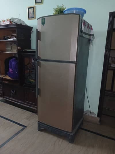 Hair Fridge full size