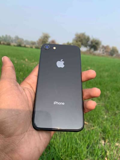 Faraz Rajput