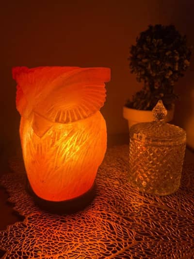  Himalayan Pink Salt Lamp – Box Pack 