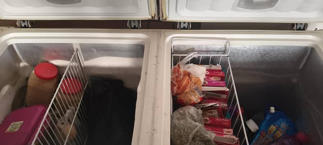 waves double door freezer