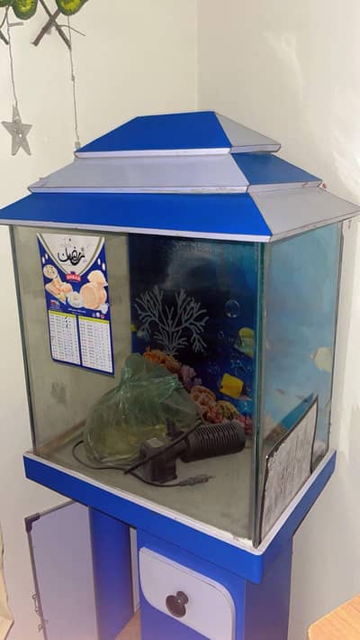 fish aquarium