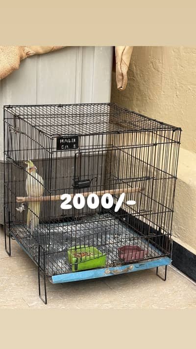 Bird cage | birds incubator | birds brooder