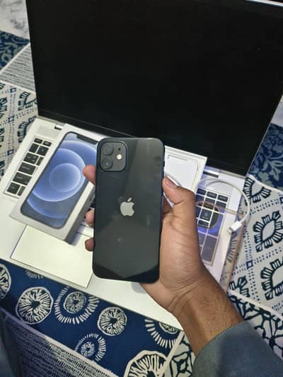 Iphone 12 128Gb Brand New