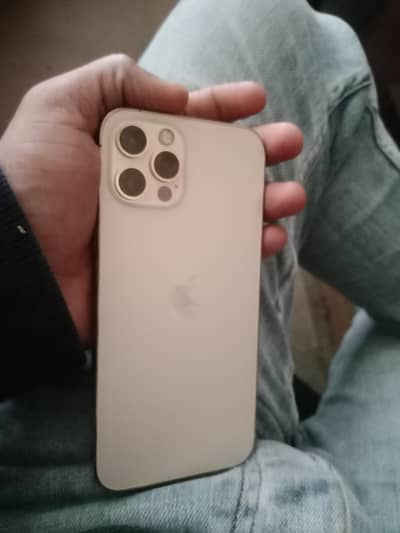 iphone 12 pro pta approved