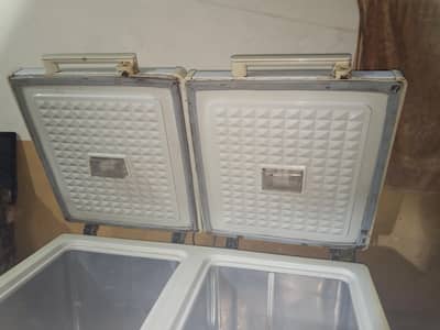 Double Door Freezer