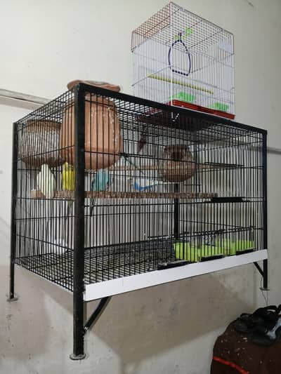 Australian Parrots Cage