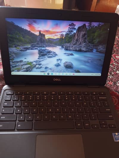 Dell 3100 Chromebook: 2029update good condition All ok