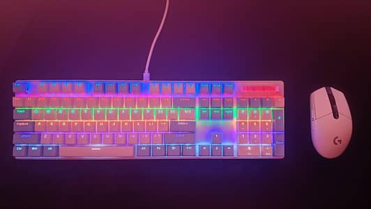 Premium Gaming Keyboard & Mouse | Logitech G305 | Cherry MX Brown