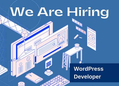 WordPress Developer
