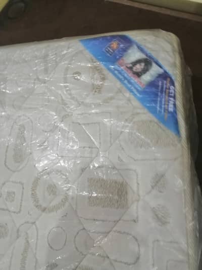 Two signal matters Master molty plus high quality foam comfatable