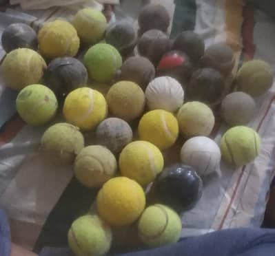 cricket balls