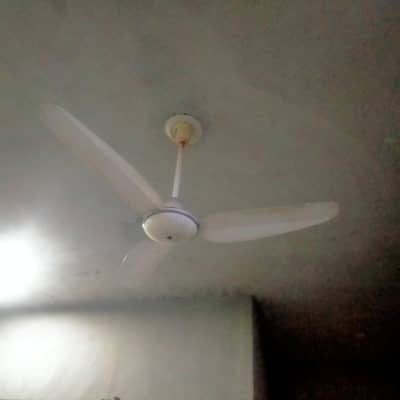 Ceiling Parwaz Fan